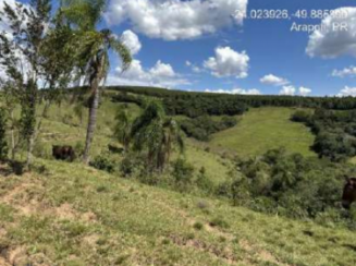 Gleba 01 A.T. 48.400 m²