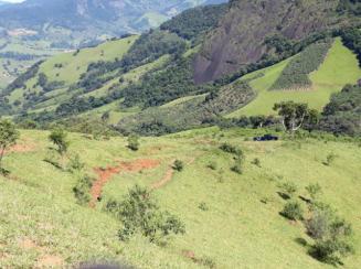 Fazenda A.T. 131,56 ha - Luminosa, Brazópolis/MG