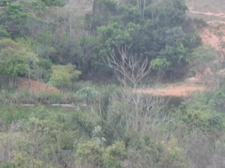 Imagem 6