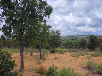 Lote - Garden Ville, Caetanópolis/MG