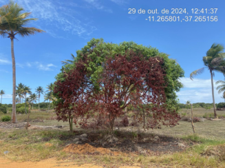 Lote - Lot. Vila Rica do Abais, Itaporanga Dajuda/SE