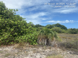 Lote - Lot. Vila Rica do Abais, Itaporanga Dajuda/SE