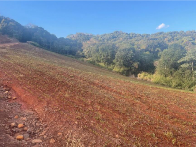 Terreno a.t. 122.026 m² - pitanga/pr