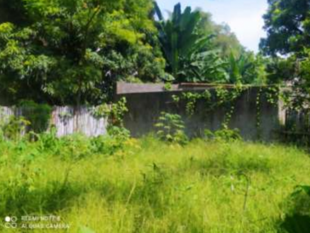 Casa com 2 quartos no Santa Rita (foto 4 de 4)