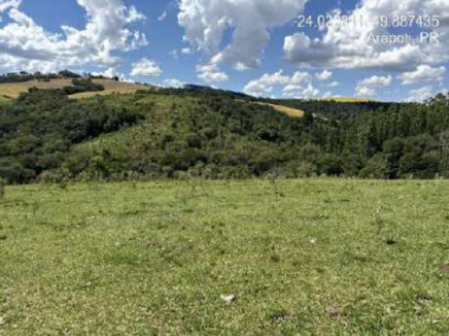 Imóvel Rural em Leilão em Arapoti / PR - 223045
