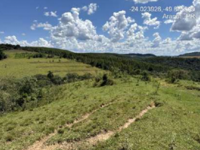 Gleba 01 a.t. 48.400 m² - arapoti/pr