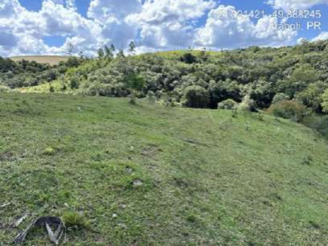 Gleba no Fazenda Faxinal (foto 4 de 5)