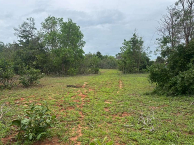 Rural · Bom Jardim de Goias, GO