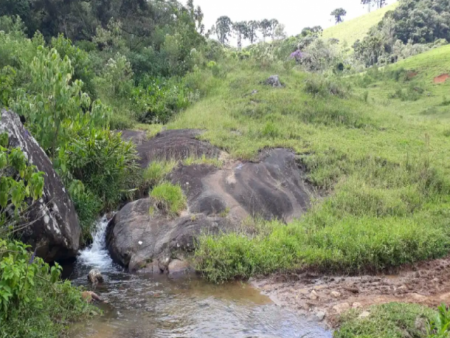 Fazenda a.t. 131,56 ha - luminosa, brazópolis/mg