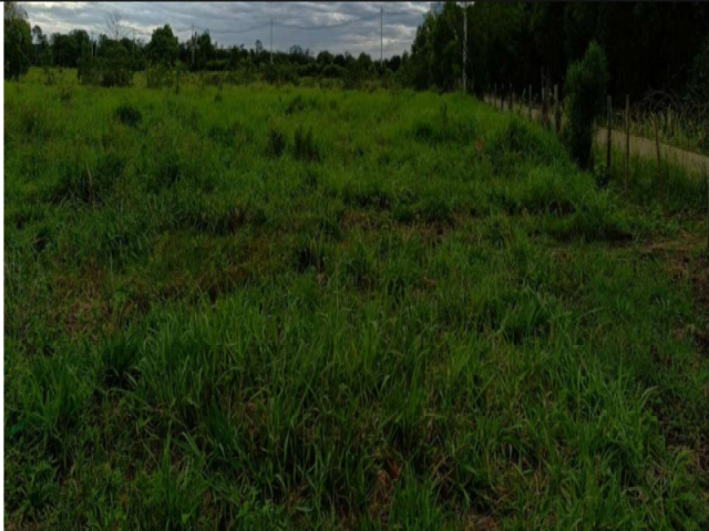 Lote a.t.55.448,44 m² - campos dos goytacazes/rj