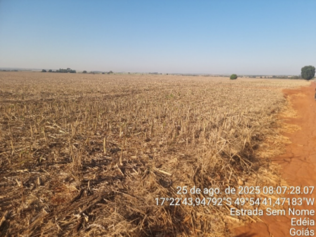 Gleba no Rural (foto 3 de 7)