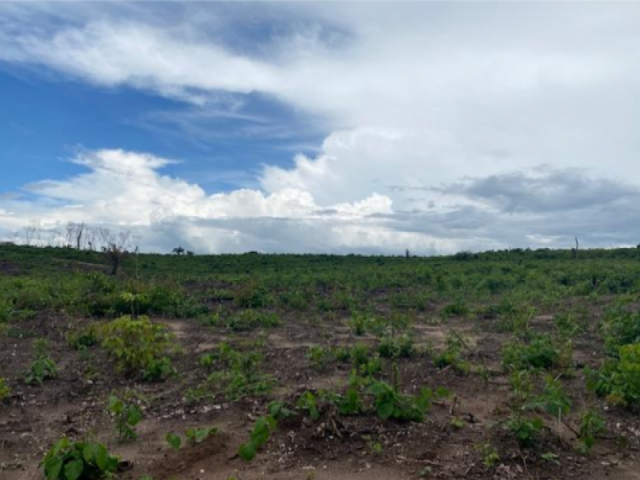 Zona rural · Nova dos Martírios, MA