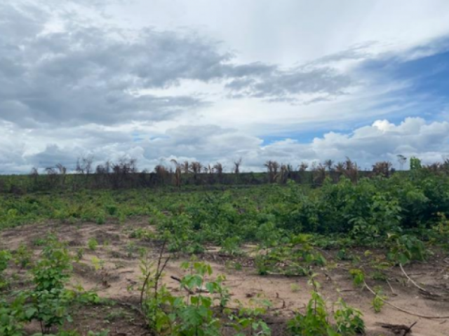 Fazenda stª maria a.t. 104,45 ha - vl. nova dos martírios/ma