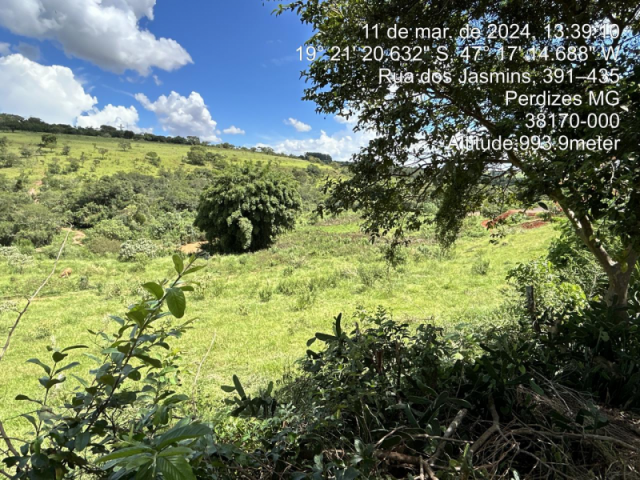 Terreno no Parque das Flores (foto 8 de 17)