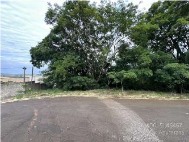 Terreno na Gleba Patrimônio Apucarana (foto 2 de 2)
