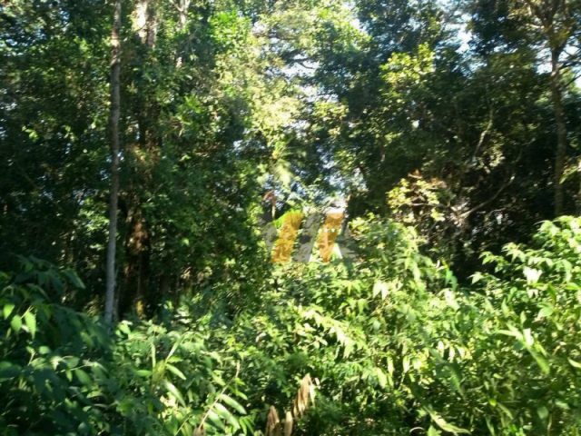 Lote a.t. 343,75 m² - verde mar, caraguatatuba/sp