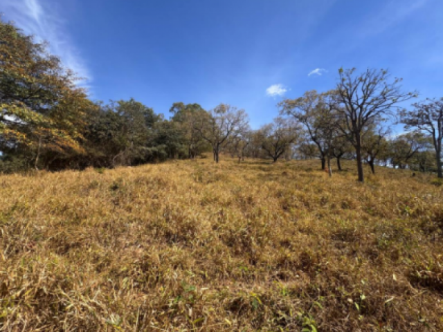 Fazenda mangonga a.t. 30.000 m² - carmo do cajuru/mg