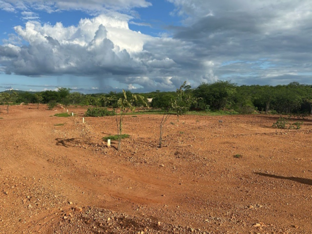 Lote a.t. 800 m² - carnaíba velha, carnaíba/pe