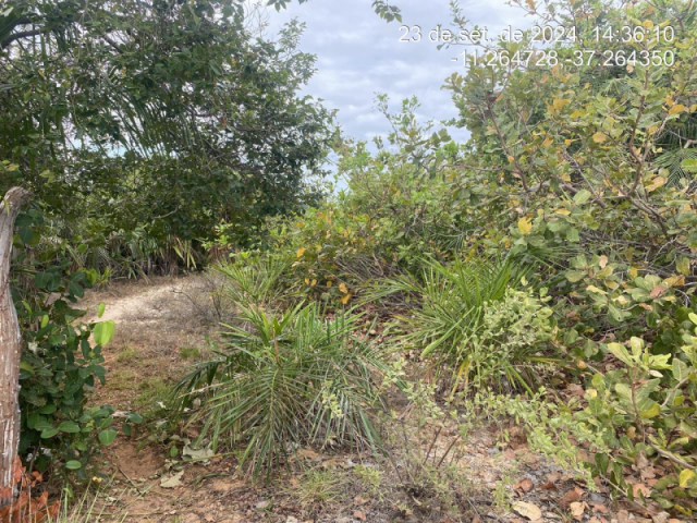 Terreno no Loteamento Vila Rica do Abais (foto 2 de 2)