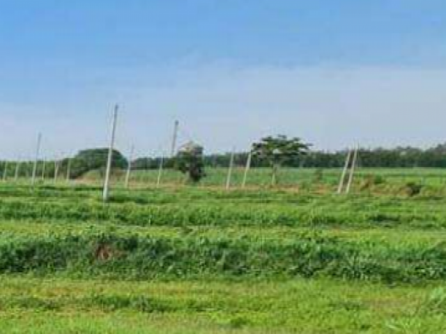 Terreno em Lins, SP