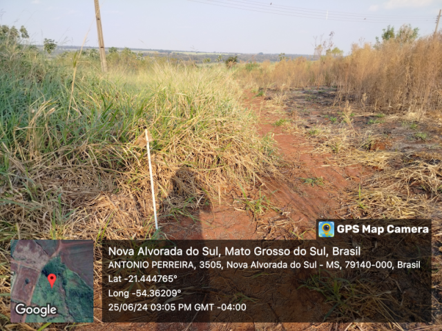 Casa em Leilão em Nova Alvorada Do Sul / MS - 225091