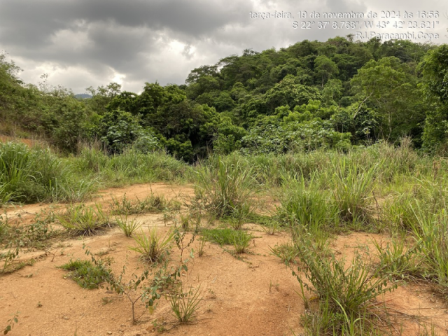 Imagem do imóvel Lote - Lages, Paracambi/RJ