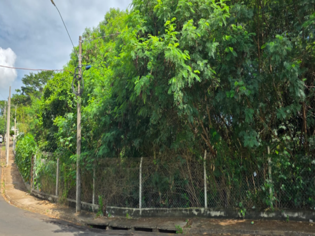 Terreno no Parque Bandeirantes (foto 5 de 9)