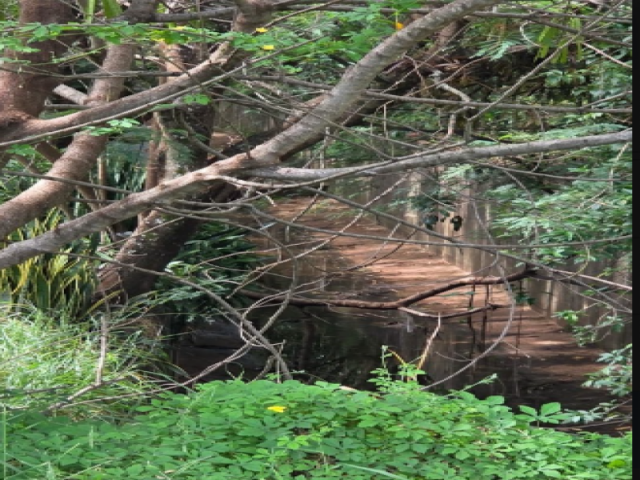 Terreno no Parque Bandeirantes (foto 9 de 9)