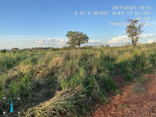 Terreno (foto 6 de 6)