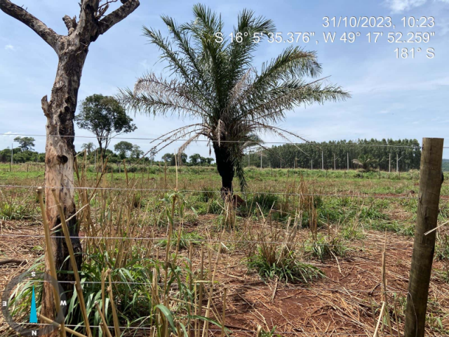 Terreno no Condomínio das Orquídeas (foto 4 de 5)
