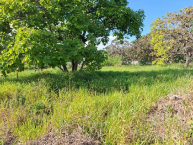 Terreno no Condomínio Monte Verde (foto 2 de 7)