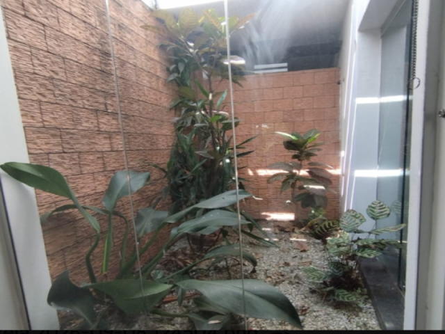 Prédio no Jardim Avelino (foto 2 de 20)