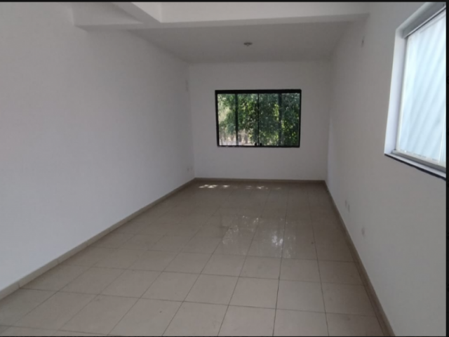 Prédio no Jardim Avelino (foto 13 de 20)