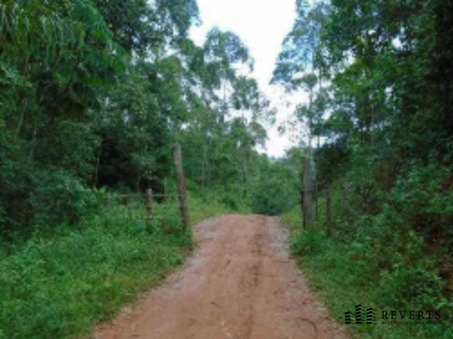 Fazenda - várzea santo antônio, bias fortes/mg