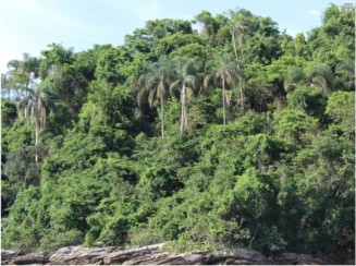 Ilha Duas Irmãs ÁREA 2 - Mangaratiba/RJ