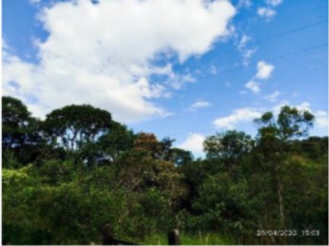 🏡 fazenda exclusiva, congonhas/mg 10 hectares à sua espera!