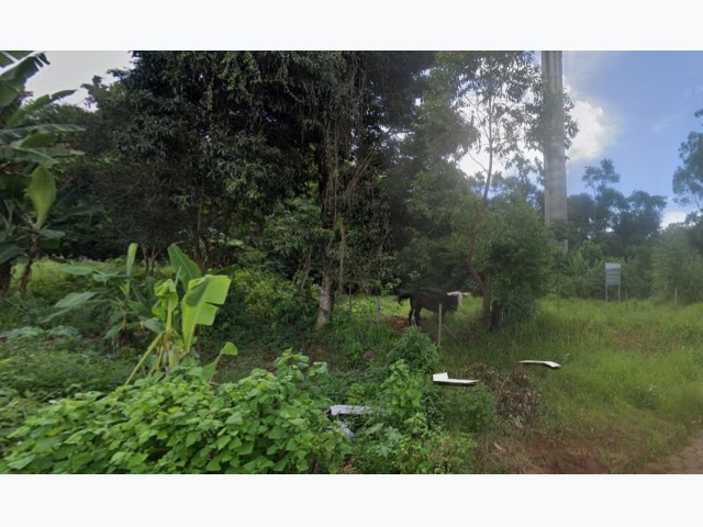 🏡 terreno em barão de cocais/mg